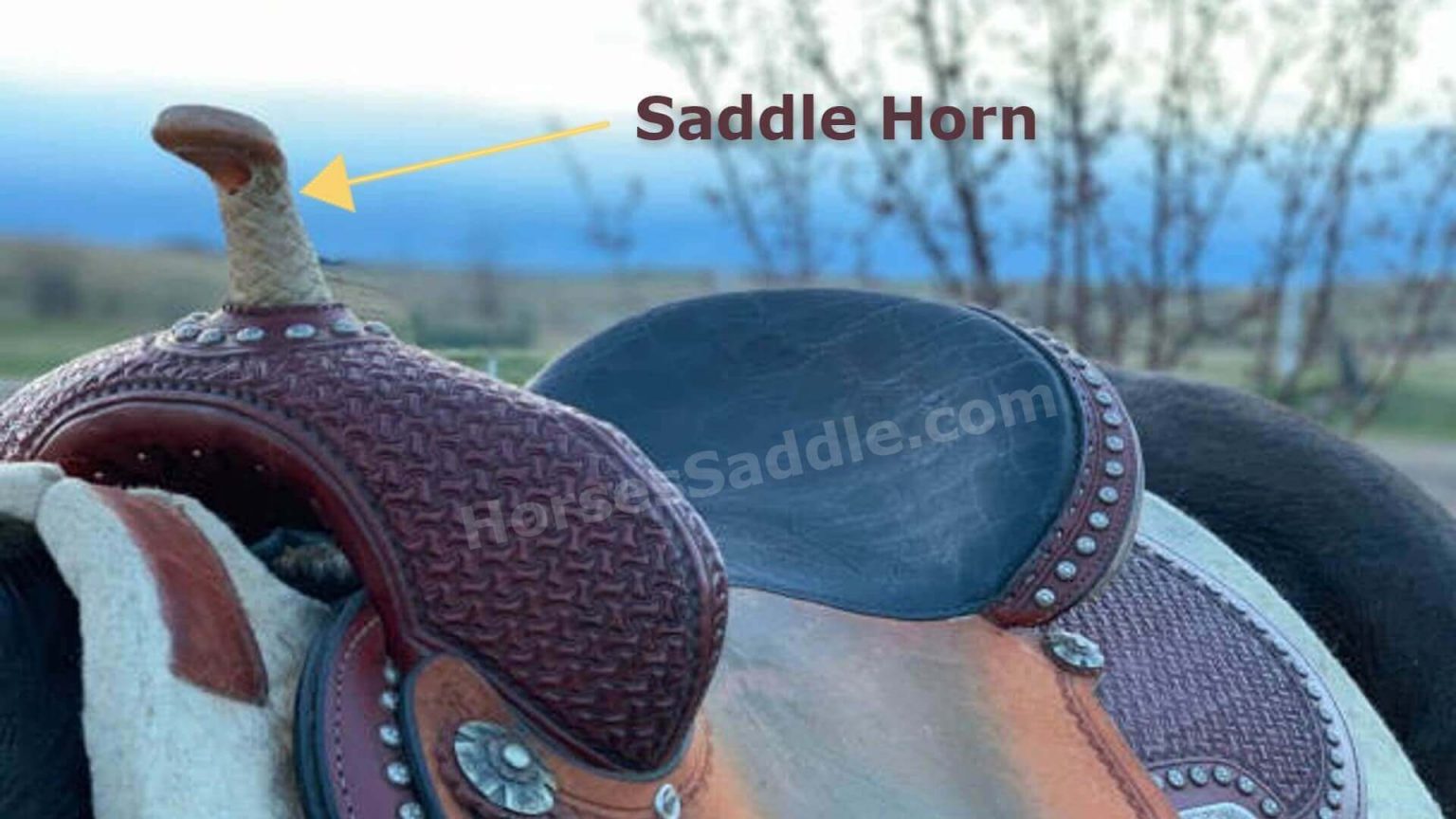 why-do-western-saddles-have-a-horn-horsessaddle